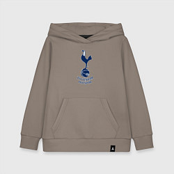 Детская толстовка-худи Tottenham Hotspur fc sport