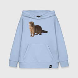 Толстовка детская хлопковая Пушистая выдра, цвет: мягкое небо