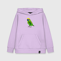 Толстовка детская хлопковая Зеленый попугай, цвет: лаванда