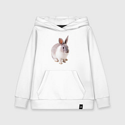 Толстовка детская хлопковая Кролик бело-серый, цвет: белый