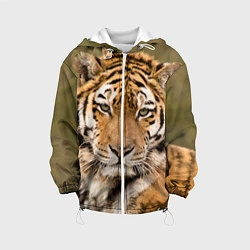 Куртка с капюшоном детская Милый тигр, цвет: 3D-белый