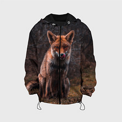Детская куртка Хищная лисица