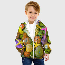 Куртка с капюшоном детская Композиция из морских звёзд и ракушек, цвет: 3D-белый — фото 2