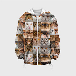 Куртка с капюшоном детская Pedigreed cats, цвет: 3D-белый