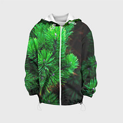 Куртка с капюшоном детская Зелёный лес России, цвет: 3D-белый