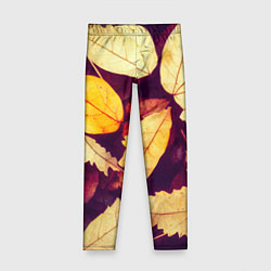 Леггинсы для девочки Осенняя листва узор, цвет: 3D-принт