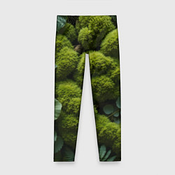 Леггинсы для девочки Зеленый мох и листья, цвет: 3D-принт