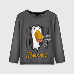 Детский лонгслив The honking