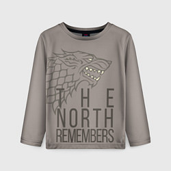 Лонгслив детский The North Remembers game of thrones, цвет: 3D-принт