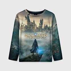 Лонгслив детский Герой Hogwarts legacy, цвет: 3D-принт