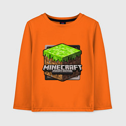 Лонгслив хлопковый детский Minecraft: Pocket Edition, цвет: оранжевый