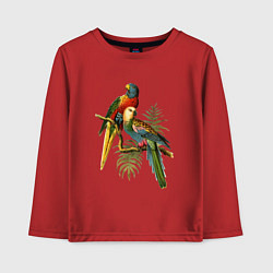 Лонгслив хлопковый детский Тропические попугаи, цвет: красный