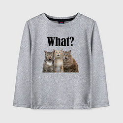 Детский лонгслив Удивленные кошки