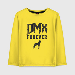 Детский лонгслив DMX Forever