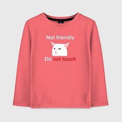 Детский лонгслив Not friendly, do not touch, текст с мемным котом