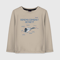 Детский лонгслив Почему самолет летает?