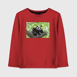Лонгслив хлопковый детский Медведь панда на дереве, цвет: красный