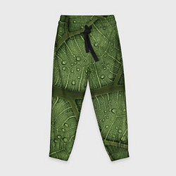 Детские брюки Текстура зелёной листы