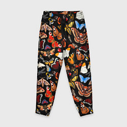 Детские брюки Разноцветные тропические бабочки