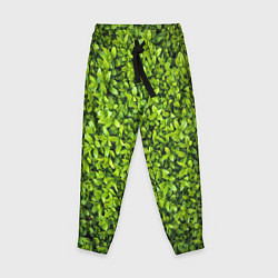 Детские брюки Зелёная трава листья