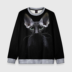 Свитшот детский Сфинкс 2, цвет: 3D-меланж