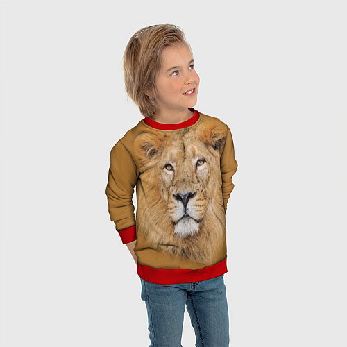 Детский свитшот Царский лев / 3D-Красный – фото 3