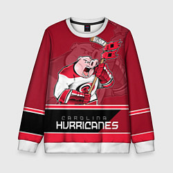 Детский свитшот Carolina Hurricanes