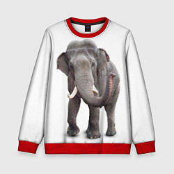 Детский свитшот Большой слон
