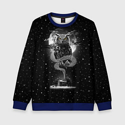 Свитшот детский Ночная сова, цвет: 3D-синий
