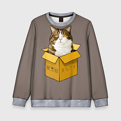 Свитшот детский Котик в коробке, цвет: 3D-меланж