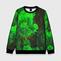 Детский свитшот Зелёная ель
