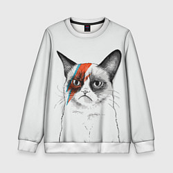 Свитшот детский David Bowie: Grumpy cat, цвет: 3D-белый