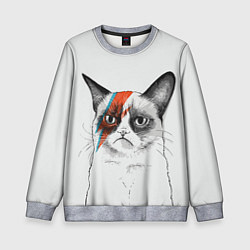 Свитшот детский David Bowie: Grumpy cat, цвет: 3D-меланж