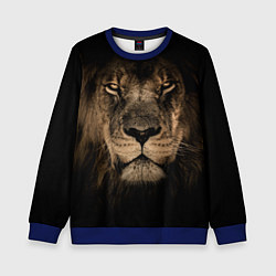 Свитшот детский Львиный взгляд, цвет: 3D-синий