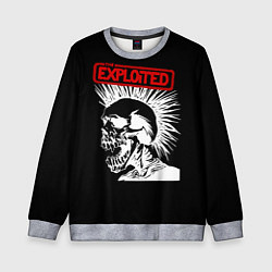 Свитшот детский The Exploited, цвет: 3D-меланж