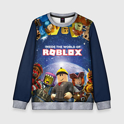 Свитшот детский ROBLOX, цвет: 3D-меланж