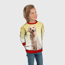 Свитшот детский Лабрадор ретривер пес, цвет: 3D-красный — фото 2