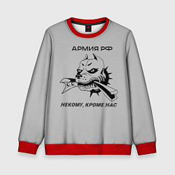 Свитшот детский ЖДВ ВС РФ, цвет: 3D-красный