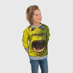 Свитшот детский Shrek is Yelling, цвет: 3D-меланж — фото 2
