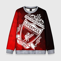Свитшот детский LIVERPOOL ЛИВЕРПУЛЬ, цвет: 3D-меланж