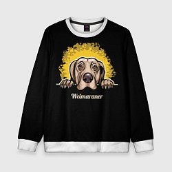 Детский свитшот Веймаранер Weimaraner