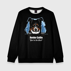 Свитшот детский Бордер-Колли Border-Collie, цвет: 3D-черный
