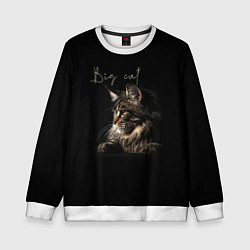 Детский свитшот Big cat Maine Coon