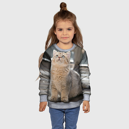 Детский свитшот Британская короткошёрстная кошка смотрит вверх / 3D-Меланж – фото 4
