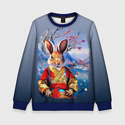 Свитшот детский Кролик в китайском халате, цвет: 3D-синий