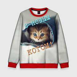 Свитшот детский С новым котом, цвет: 3D-красный