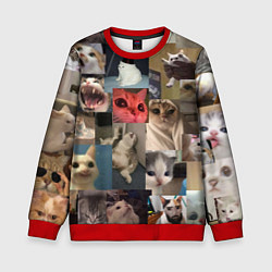 Свитшот детский Мемные котики, цвет: 3D-красный