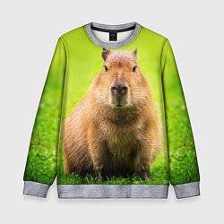 Свитшот детский Capybara on green grass, цвет: 3D-меланж