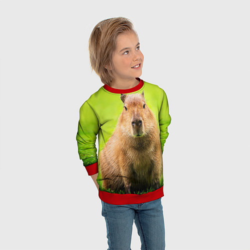 Детский свитшот Capybara on green grass / 3D-Красный – фото 3