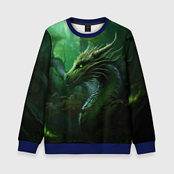 Свитшот детский Зеленый лесной дракон 2024, цвет: 3D-синий